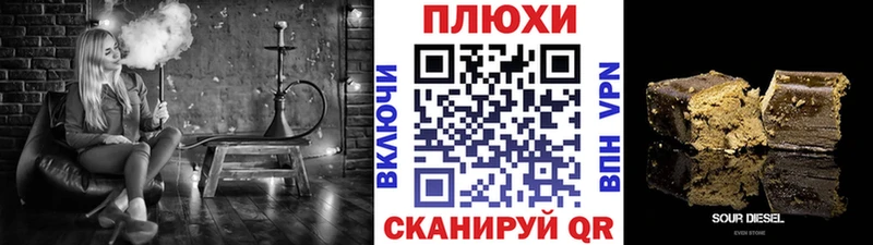 ГАШ Premium  магазин продажи   мориарти как зайти  Берёзовка 