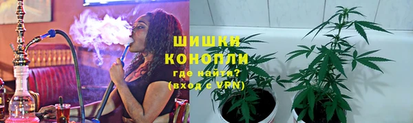 ECSTASY Бородино
