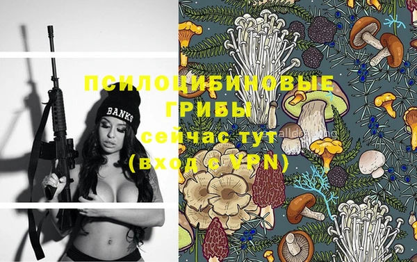молекула духа Бронницы