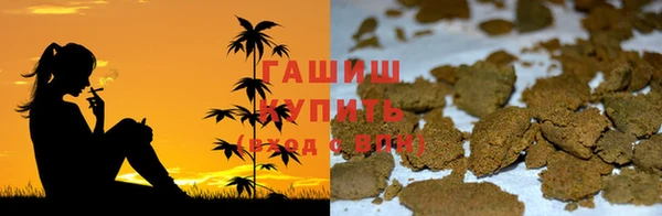 ECSTASY Бородино