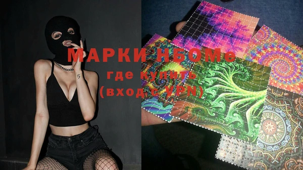ECSTASY Бородино