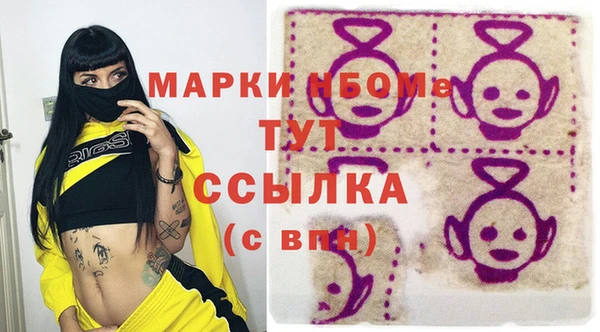 ECSTASY Бородино
