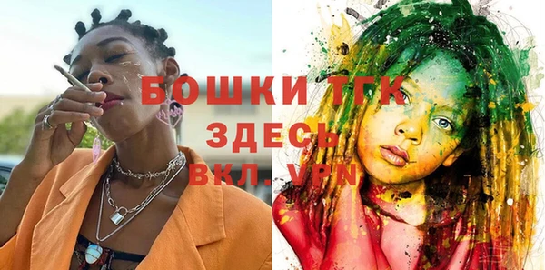 молекула духа Бронницы