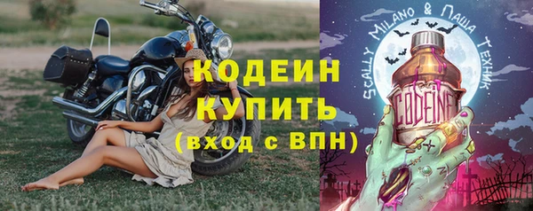 молекула духа Бронницы