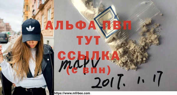 ECSTASY Бородино