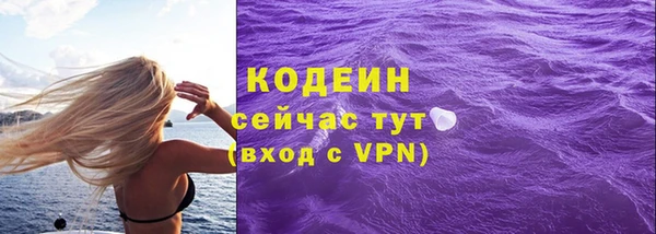 молекула духа Бронницы