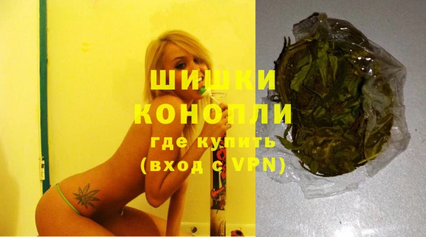 молекула духа Бронницы