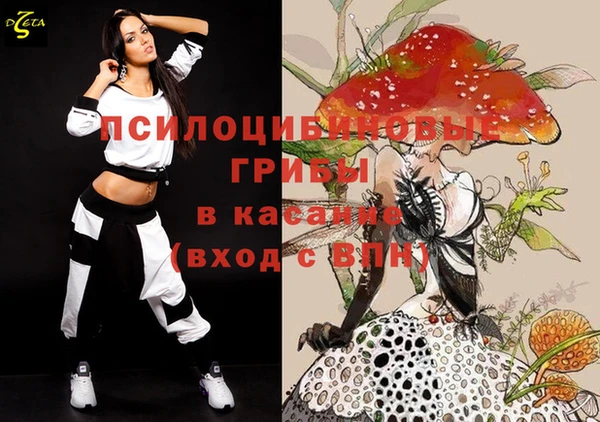 ECSTASY Бородино