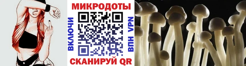 Псилоцибиновые грибы Cubensis  Берёзовка 