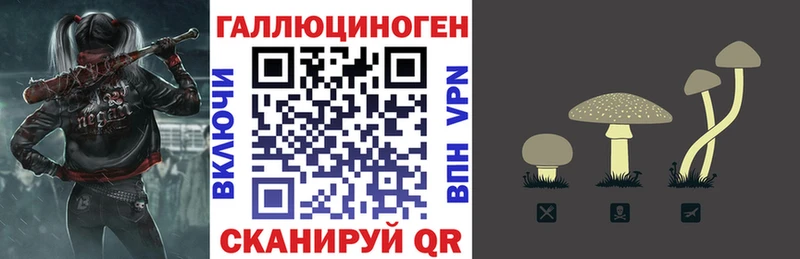 Псилоцибиновые грибы Cubensis Берёзовка